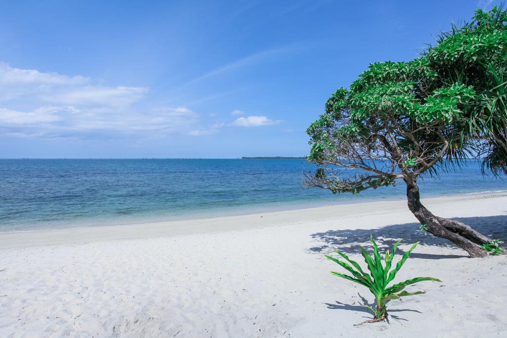Trikora Beach Club&Resort Teluk Bakau Exteriör bild